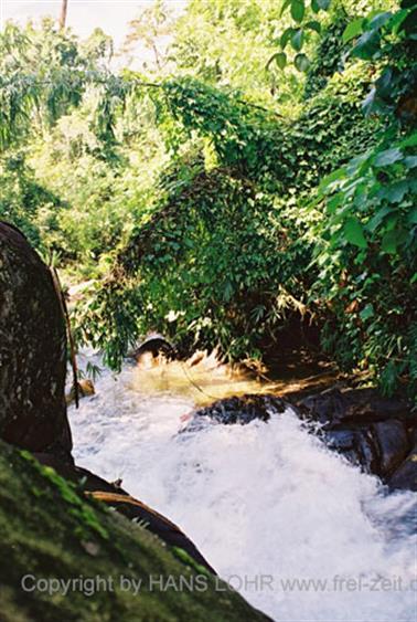 14 Thailand 2002 F1060037 Khao Lak Ausflug Elefantentrekking_478